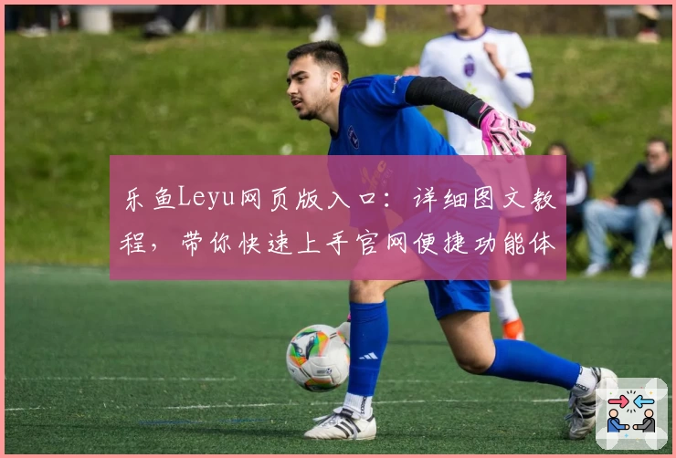乐鱼Leyu网页版入口：详细图文教程，带你快速上手官网便捷功能体验
