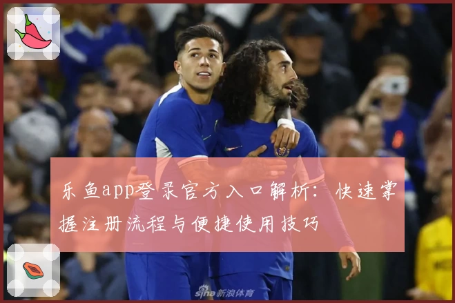 乐鱼app登录官方入口解析：快速掌握注册流程与便捷使用技巧